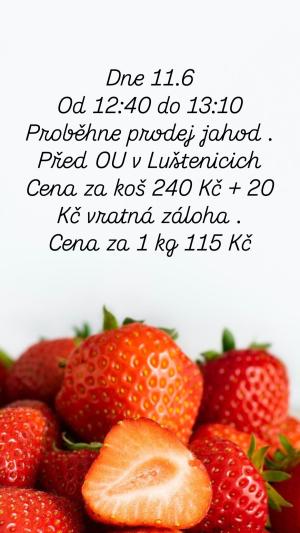 plakát
